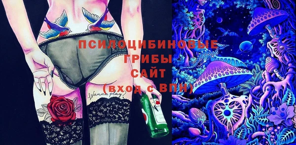прущие крисы Абинск